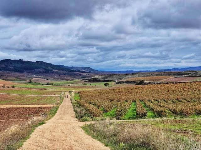 Etapa 10: Santo Domingo de la Calzada - Belorado