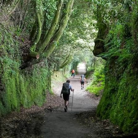 Etapa 28A: Triacastela - Sarria (por San Xil)