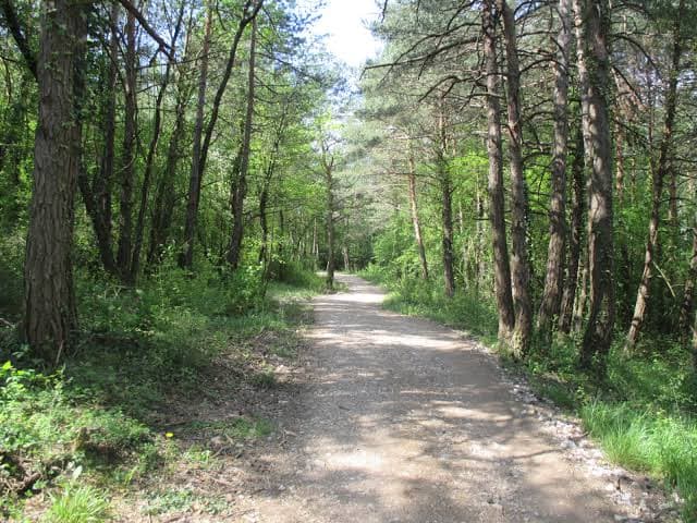 Etapa 2: Roncesvalles - Zubiri