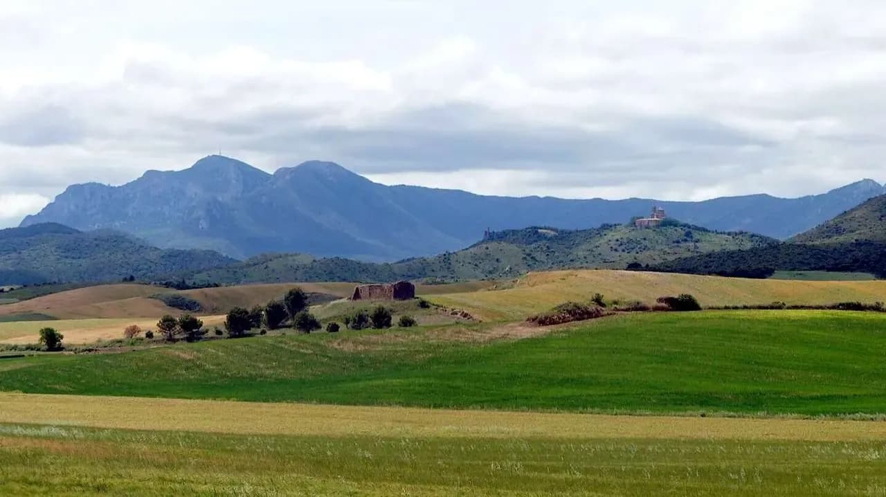 Etapa 6: Estella - Los arcos